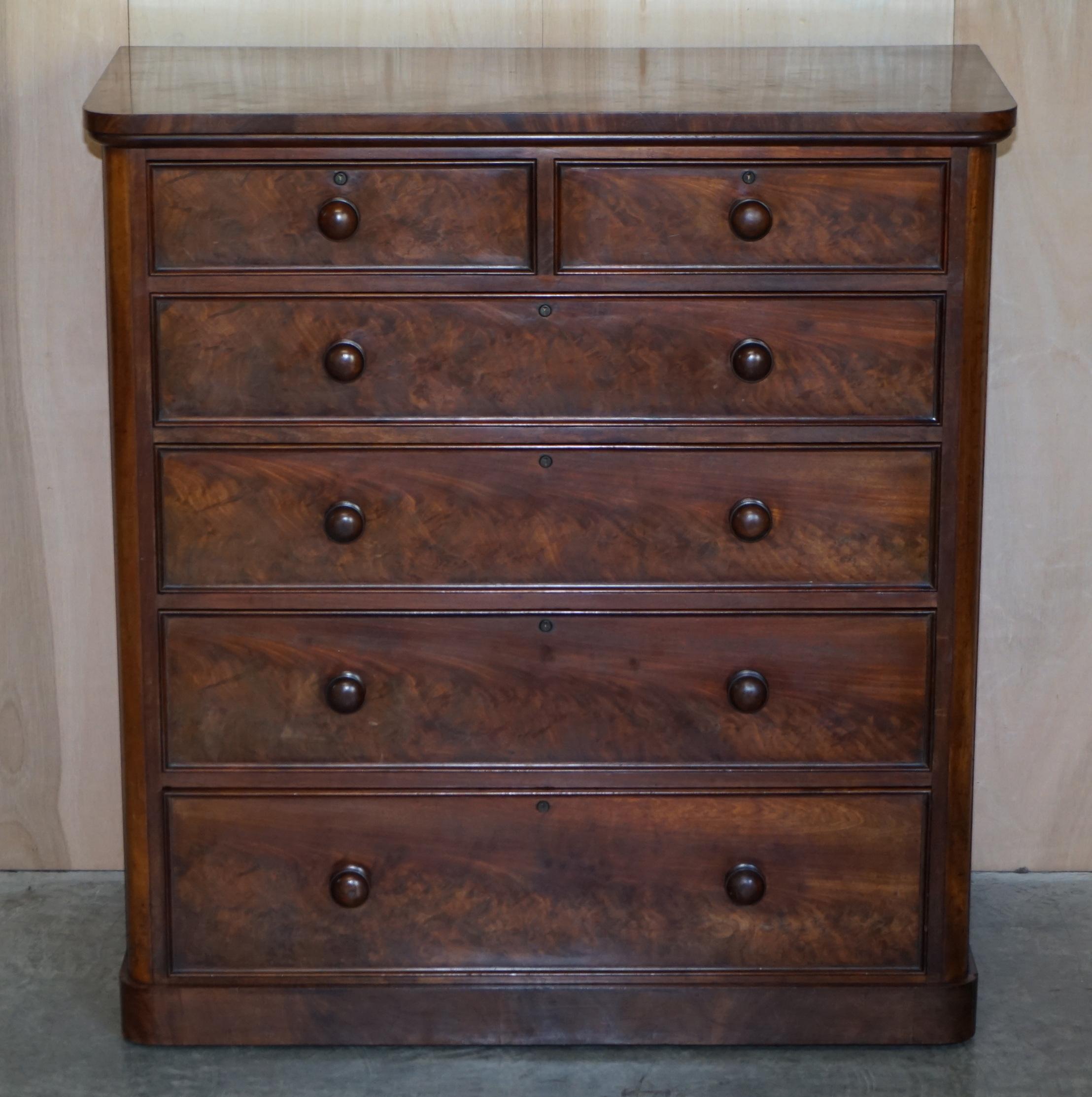 English Antique Victorian Flamed Hardwood Two over Four Chest of Drawers Timber Patina For Sale