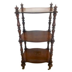 Antique Victorian Freestanding Rosewood Whatnot