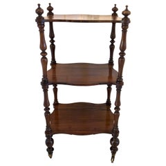 Antique Victorian Freestanding Rosewood Whatnot