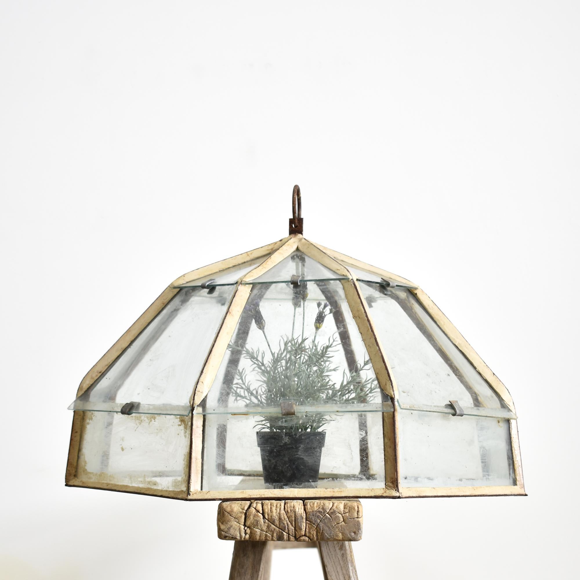 Antike viktorianische Französisch Landhaus Eisen & Glas Garten Cloche im Zustand „Gut“ im Angebot in Stockbridge, GB