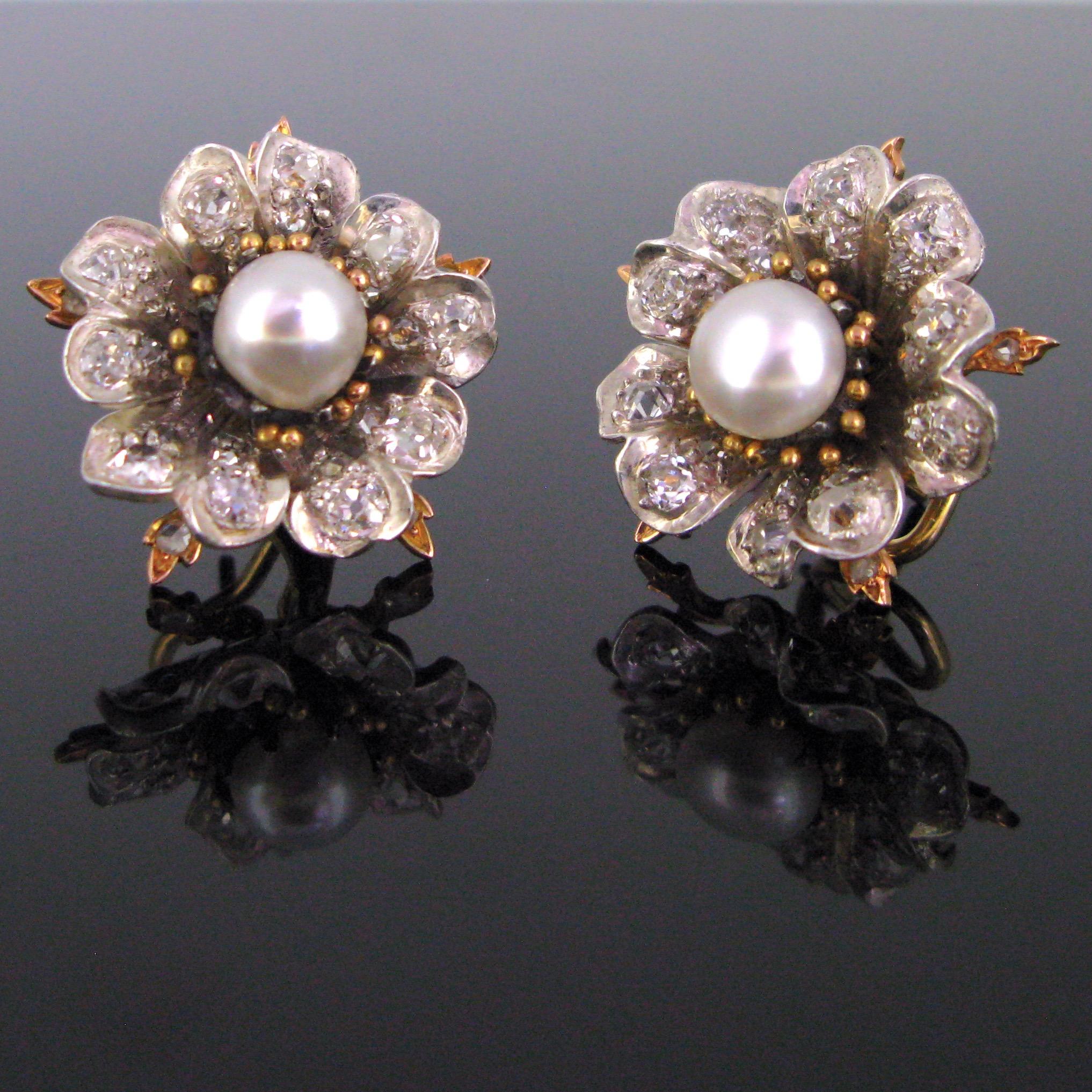 These flowers earrings are adorned in the centre with a natural saltwater pearl. They have a very good orient and beautiful cream colour. The petals are made in silver and each of them is set with old cut diamonds. The pearls come with the GCS