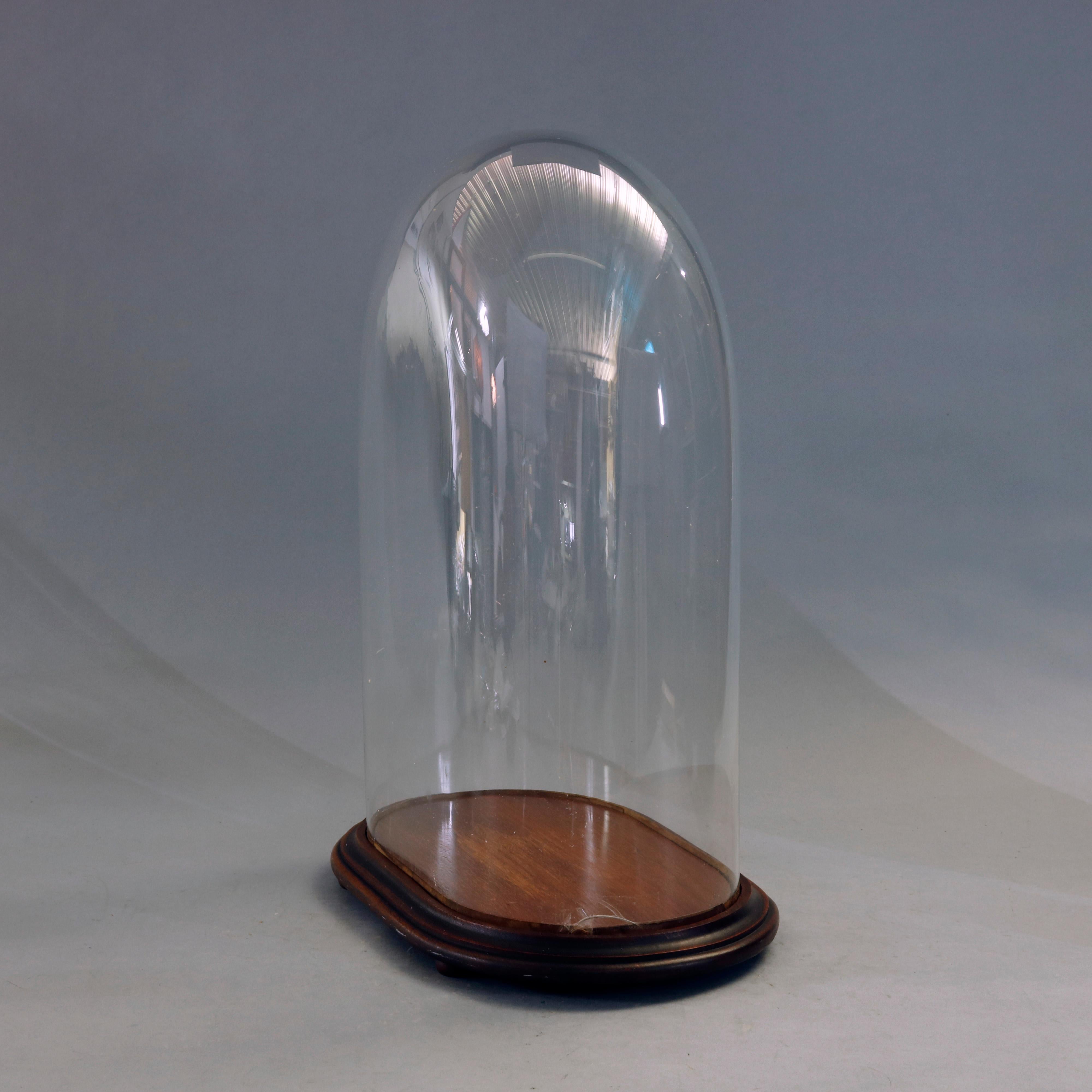 An antique glass clock display dome with mahogany base, circa 1890
no label
Measures: 21.5