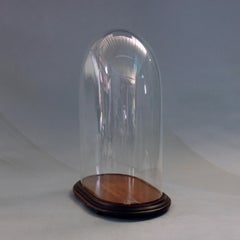 Antique Victorian Glass Clock Display Dome & Mahogany Base, Circa 1890