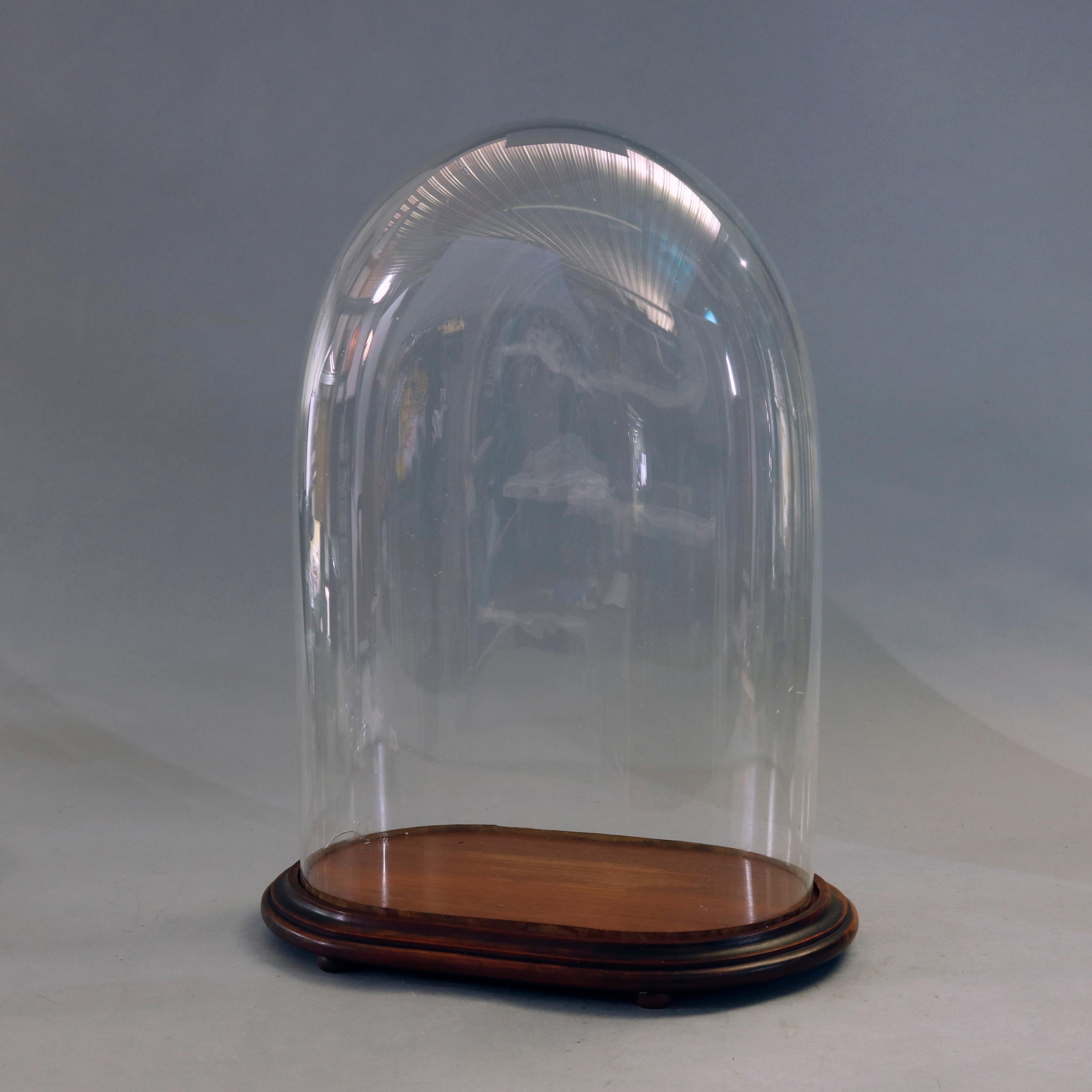 glass dome with base display