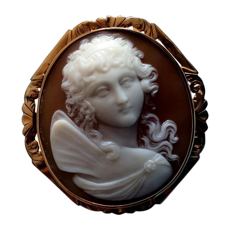 Antique Victorian Goddess Psyche Shell Cameo Brooch