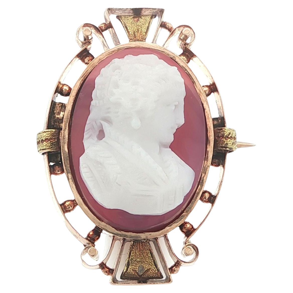 Antique Victorian Gold Carved Cameo Agate Lady Portrait Detailed Pin Brooch