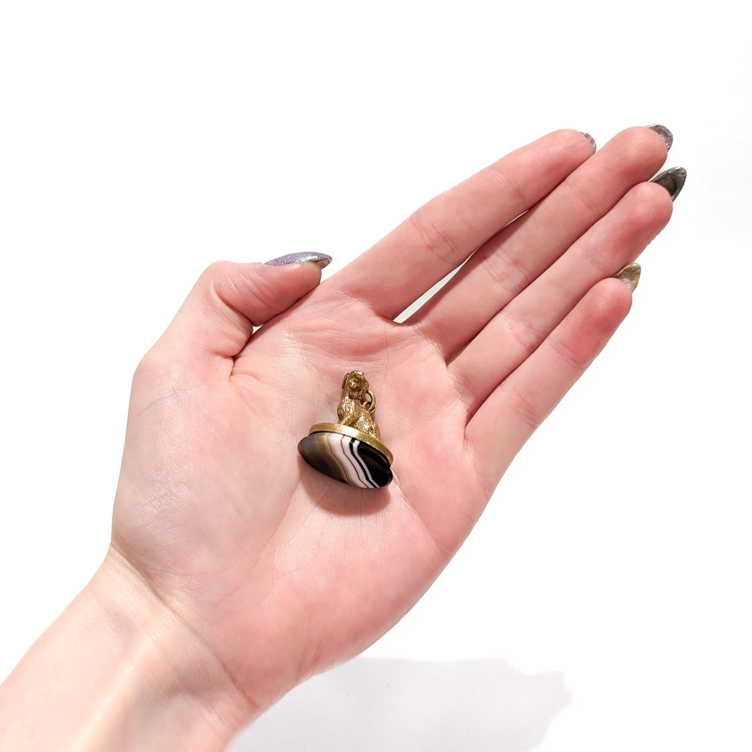 Un raffinato sigillo o portaorologio antico placcato in oro (o riempito d'oro).

A forma di cane seduto, probabilmente uno spaniel. 

Con cauzione integrale e anello di salto sul dorso del cane.

Alla base è incastonato un cabochon di agata a bande