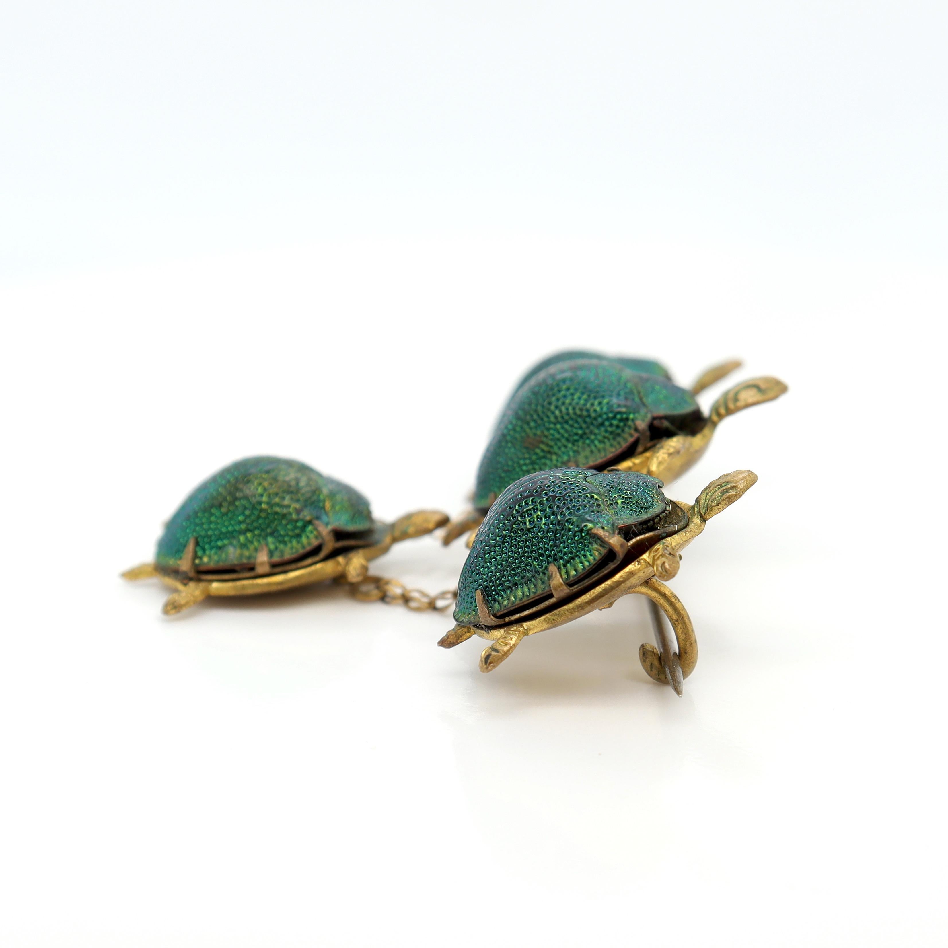 Antique Victorian Gold Filled Turtles Brooch with Egyptian Scarab Shells For Sale 1