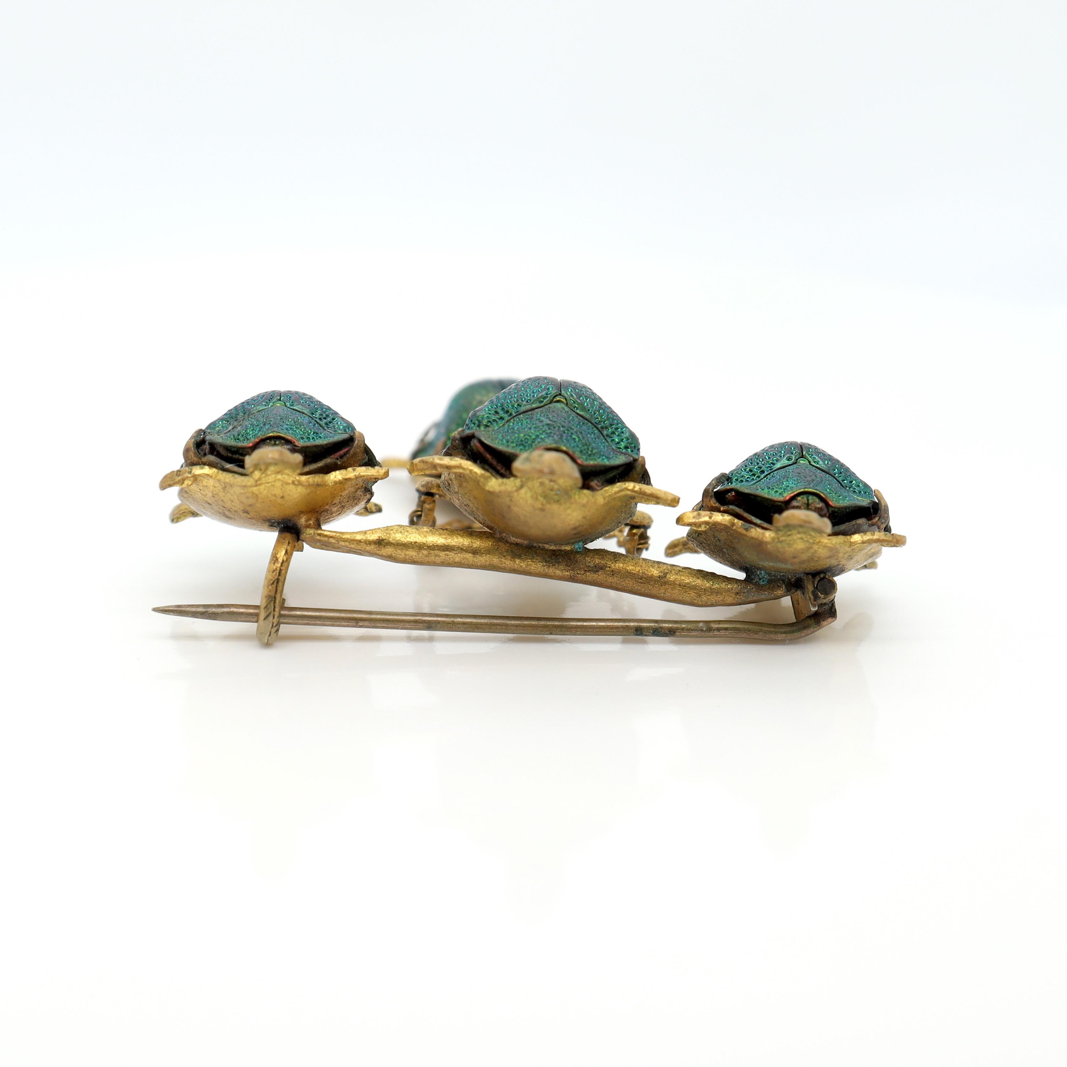 Antique Victorian Gold Filled Turtles Brooch with Egyptian Scarab Shells For Sale 2