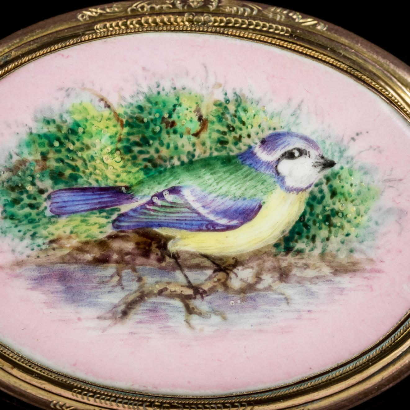 This wonderful antique hand painted Blue Tit brooch is Victorian, Circa 1890.

The lovely Blue Tit sits perched on a branch above a running river with rich green bushes painted onto a pretty pink back drop.

Victorian jewellery mirrored Queen