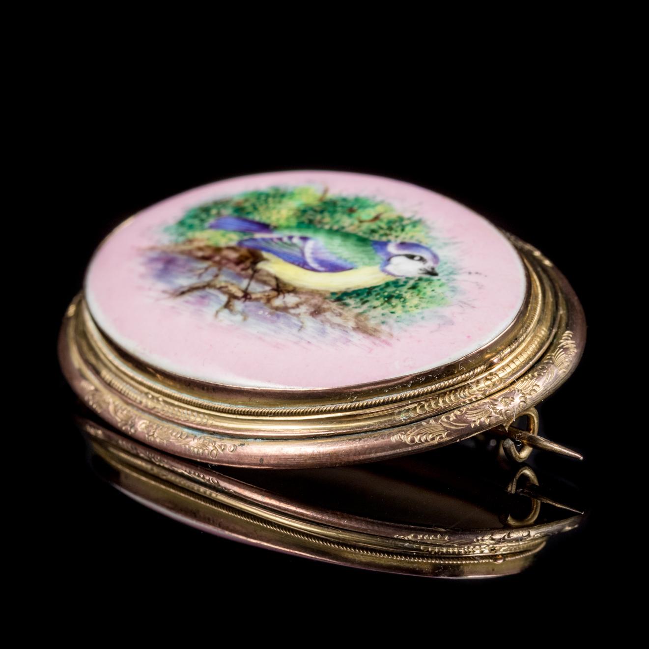 Women's Antique Victorian Hand-Painted Blue Tit Brooch 18 Carat Gold Gilt, circa 1890 For Sale