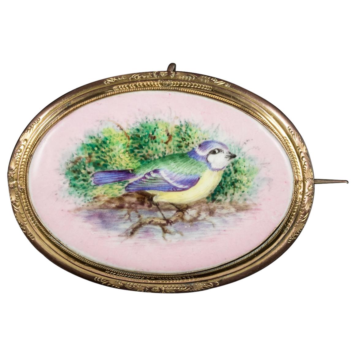 Antique Victorian Hand-Painted Blue Tit Brooch 18 Carat Gold Gilt, circa 1890 For Sale