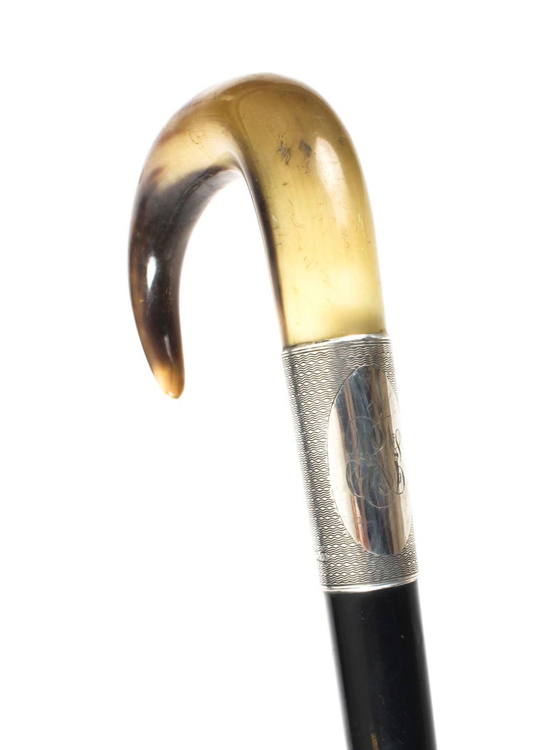 Antique Victorian Horn Handled Walking Cane Stick Silver Handle, 1922