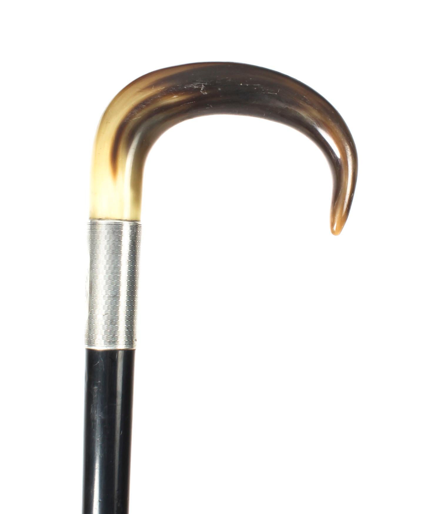 Ebonized Antique Victorian Horn Handled Walking Cane Stick Silver Handle, 1922