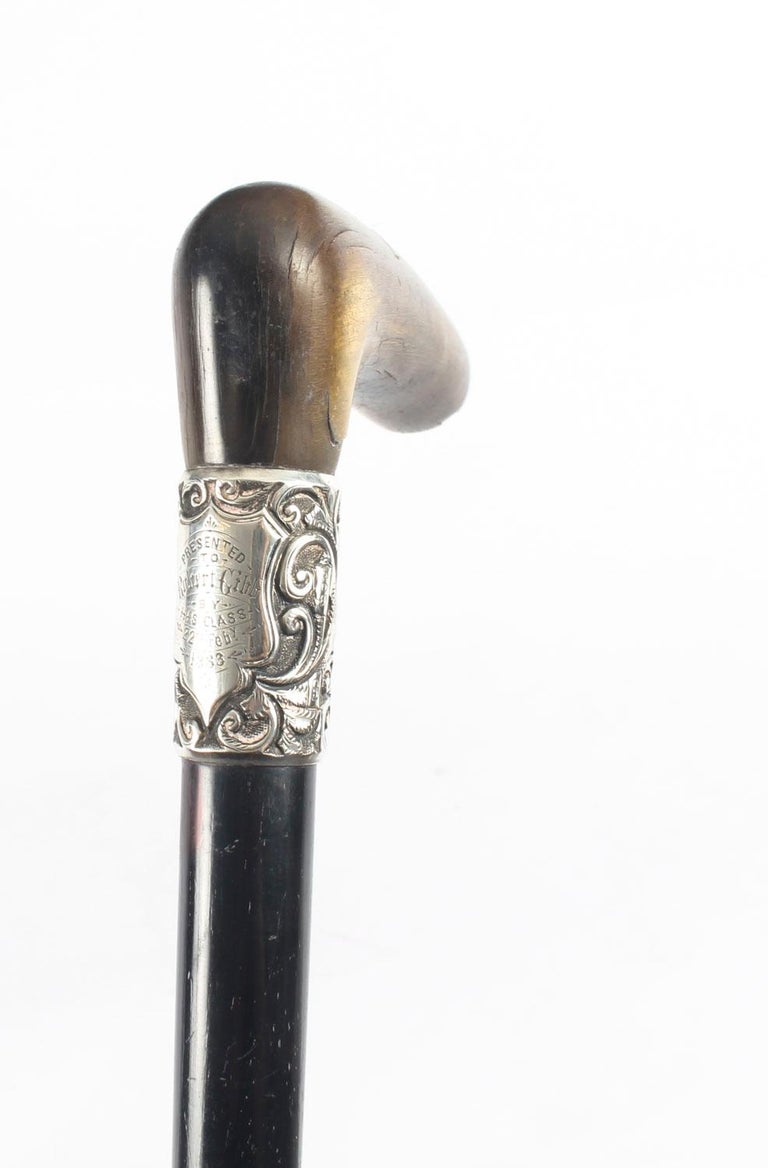 Antique Victorian Horn Handled Walking Cane Stick Silver Handle, 19th