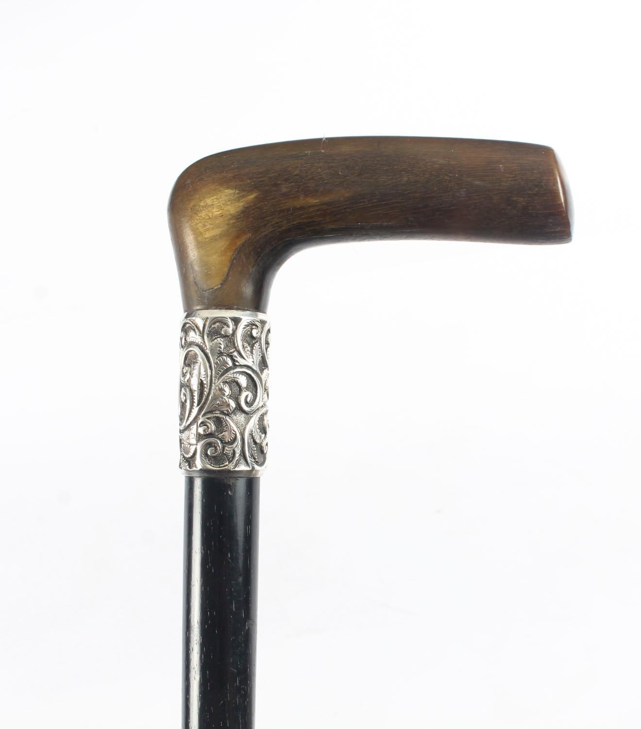 English Antique Victorian Horn Handled Walking Cane Stick Silver Handle, 19th Century