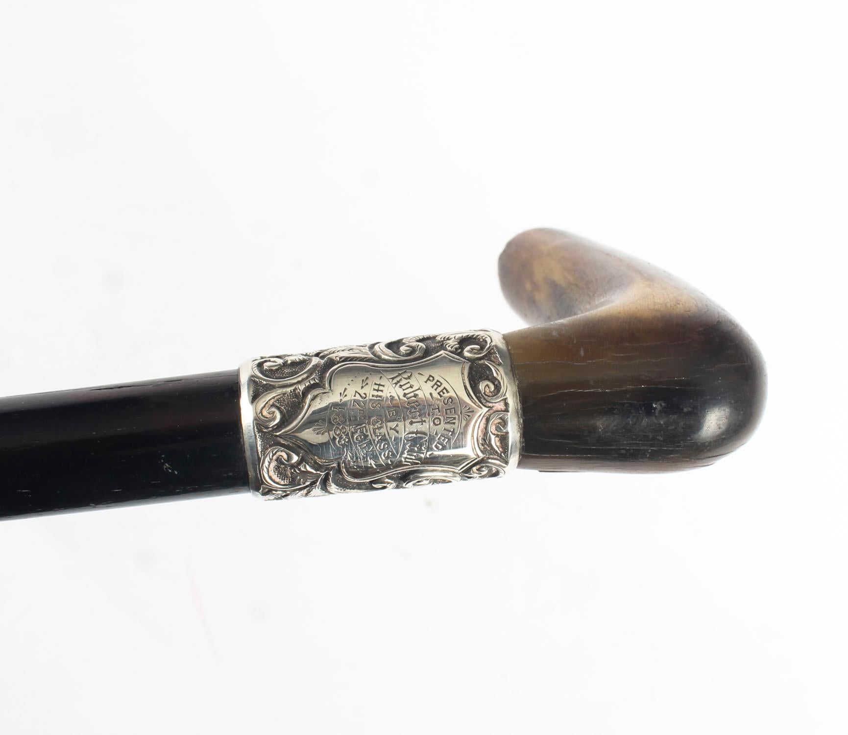 Late 19th Century Antique Victorian Horn Handled Walking Cane Stick Silver Handle, 19th Century