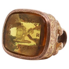 Antikes viktorianisches Intaglio Vogelkäfig- Motto Chatelaine oder Uhren-Objektsiegel-Siegel