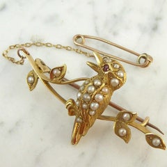 Antique Victorian Kookaburra Pearl Bar Brooch, Yellow Gold, Stamped 15