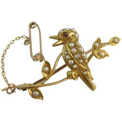 Antique Victorian Kookaburra Pearl Bar Brooch, Yellow Gold, Stamped 15