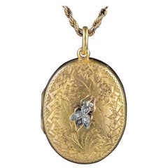 Antique Victorian Locket Diamond Insect 18 Carat Gold Chain Necklace