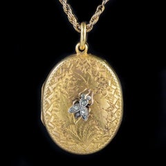 Antique Victorian Locket Diamond Insect 18 Carat Gold Chain Necklace