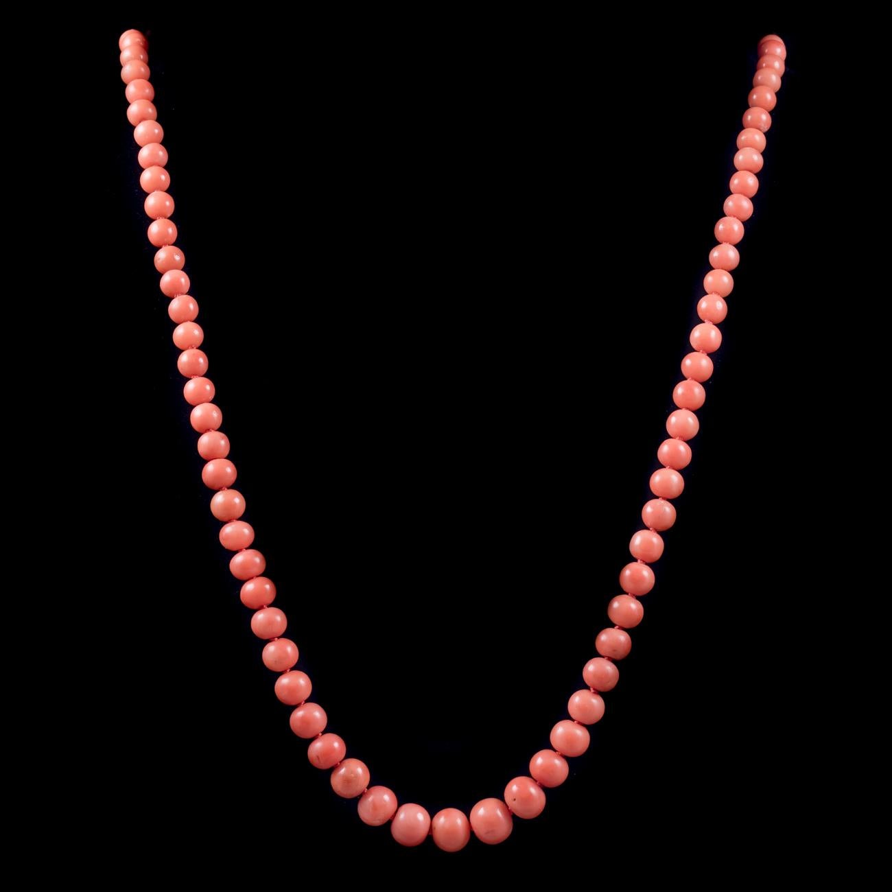 A wonderful antique Victorian necklace made up of beautiful natural Coral beads which graduate in size to a Gold box clasp also crowned with a Coral stone and fitted with a safety chain. The Coral stones range in shades of petal pink to velvety red