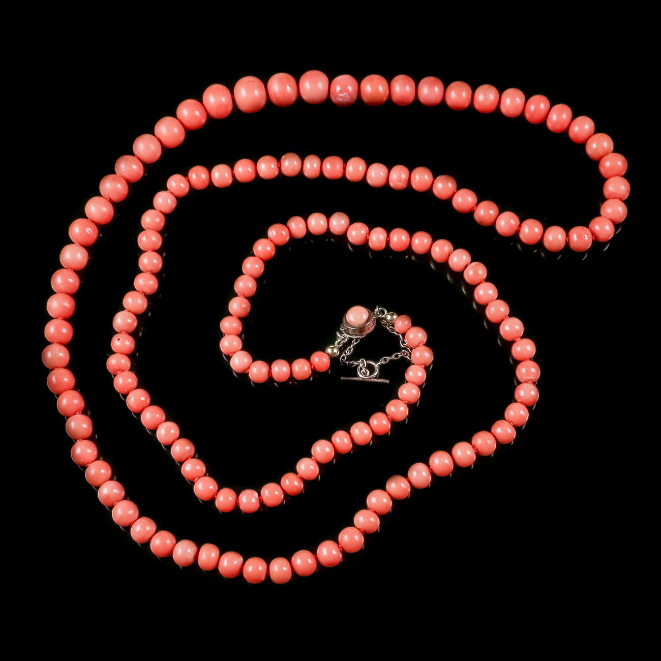Antique Victorian Long Coral Necklace Gold Clasp, circa 1900 In Good Condition In Lancaster, Lancashire