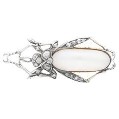 Antique Victorian Mabe Pearl and 0.36Ct Diamond, 15k Yellow Gold Beetle Brooch
