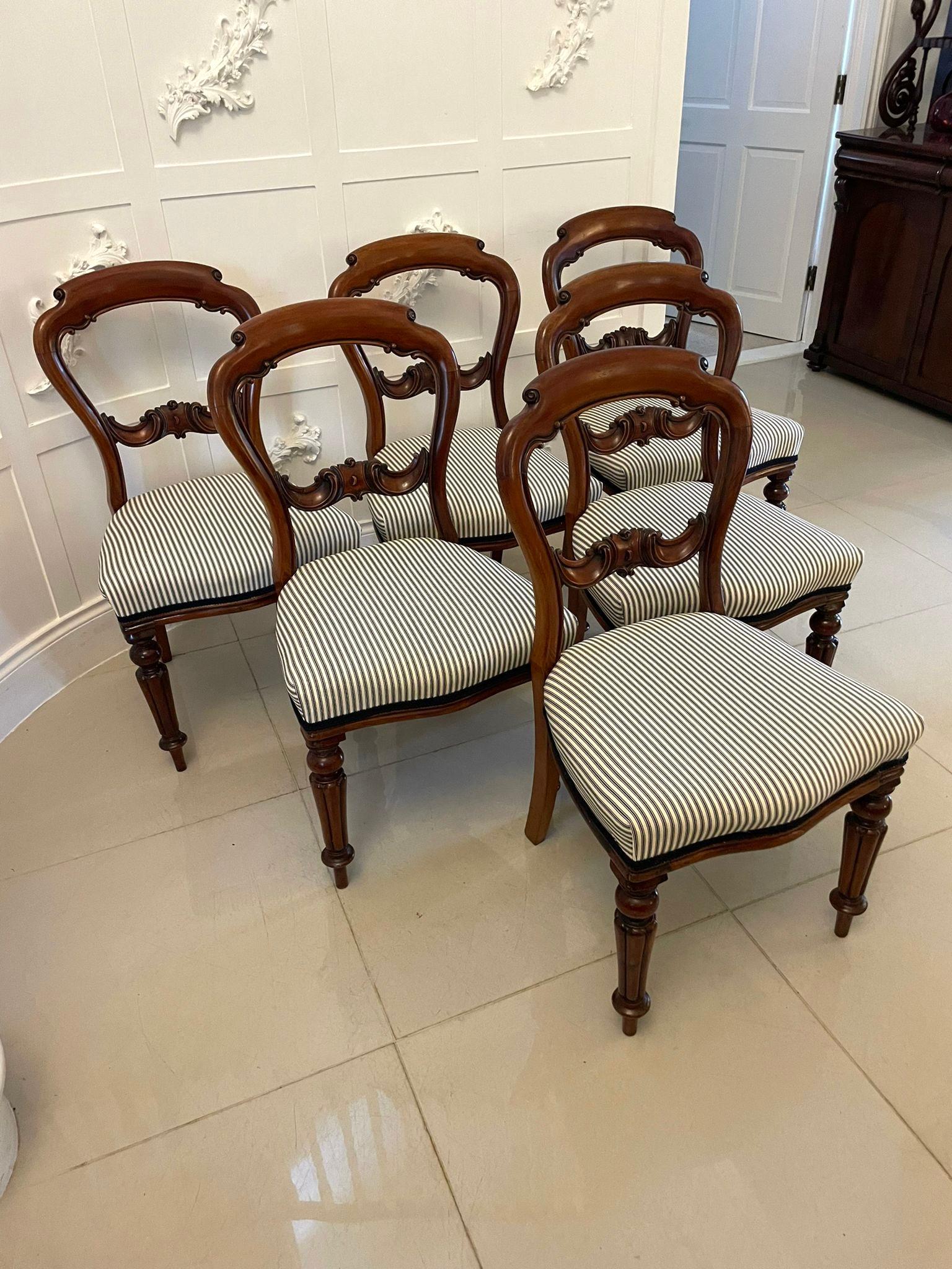 Antico set di 6 sedie da pranzo in mogano intagliato di epoca vittoriana, con una bella sponda superiore sagomata con dettagli a volute, stecche centrali intagliate, sedute imbottite di recente che poggiano su gambe tornite e affusolate e su gambe