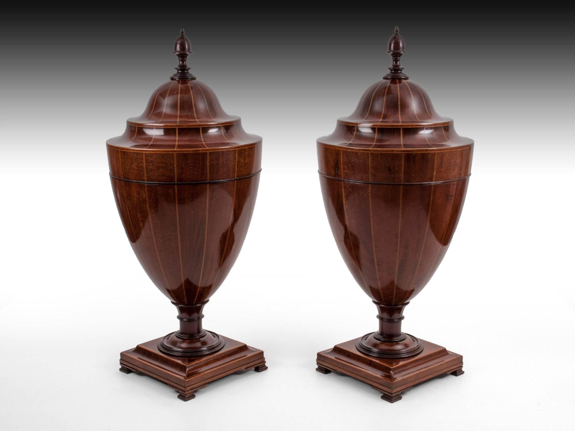 Boxwood Antique Victorian Mahogany Cutlery Knife Urns, 19th Century For Sale