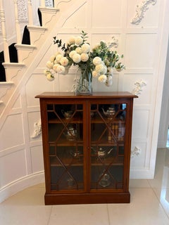 Antique Victorian Mahogany Glazed Bookcase Display Cabinet
