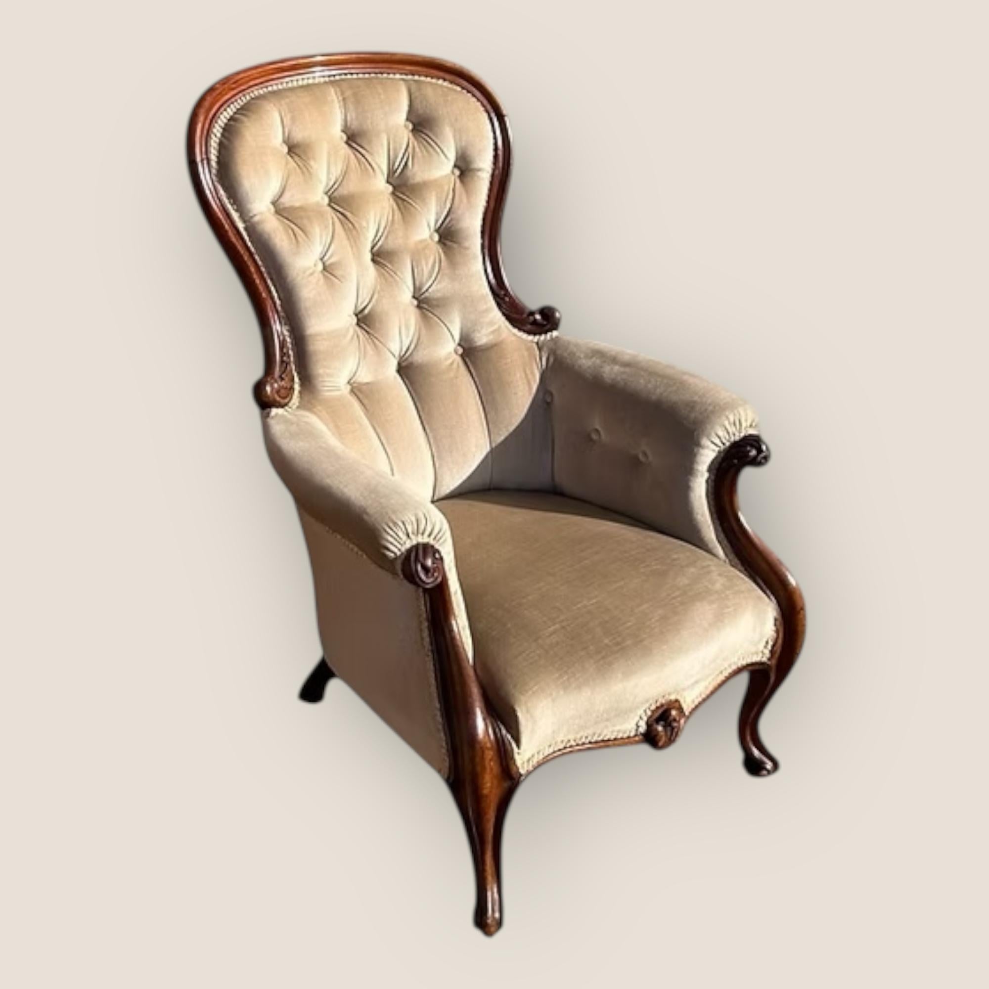 Nous avons ici un fauteuil victorien ancien, vers 1870, en acajou, avec dossier à boutons et pieds cabriole. Chaise en bon état, confortable et douillette, de couleur beige champignon, avec une forme fluide intemporelle. 