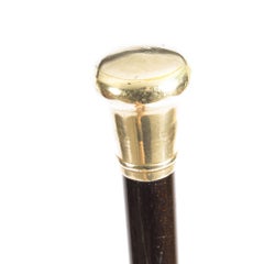 Antique Victorian Mahogany Walking Stick Cane, 19th Century