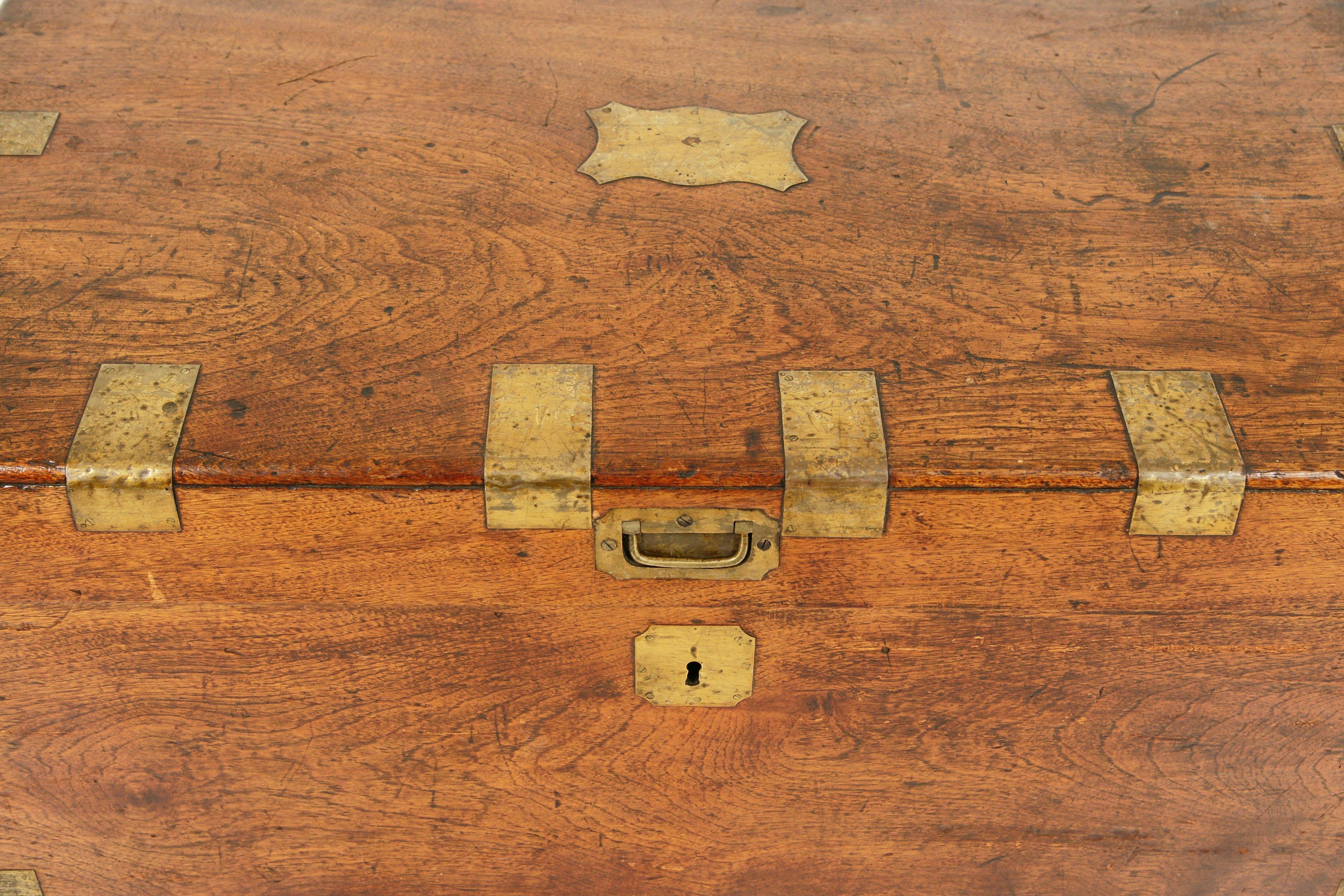 Scottish Antique Victorian Military Camphor Wood Travelling Trunk, Chest, 1880, B1950