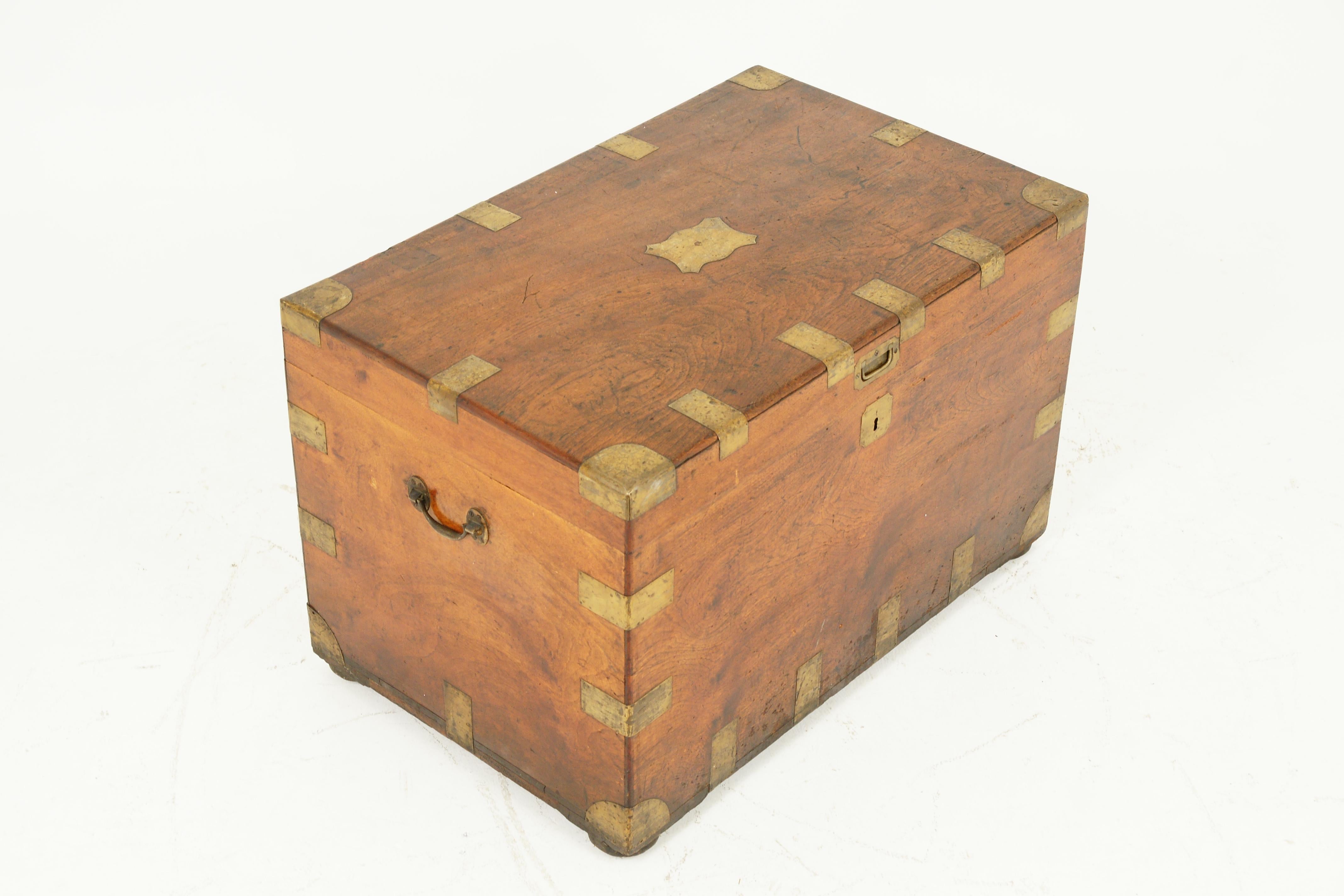 Late 19th Century Antique Victorian Military Camphor Wood Travelling Trunk, Chest, 1880, B1950