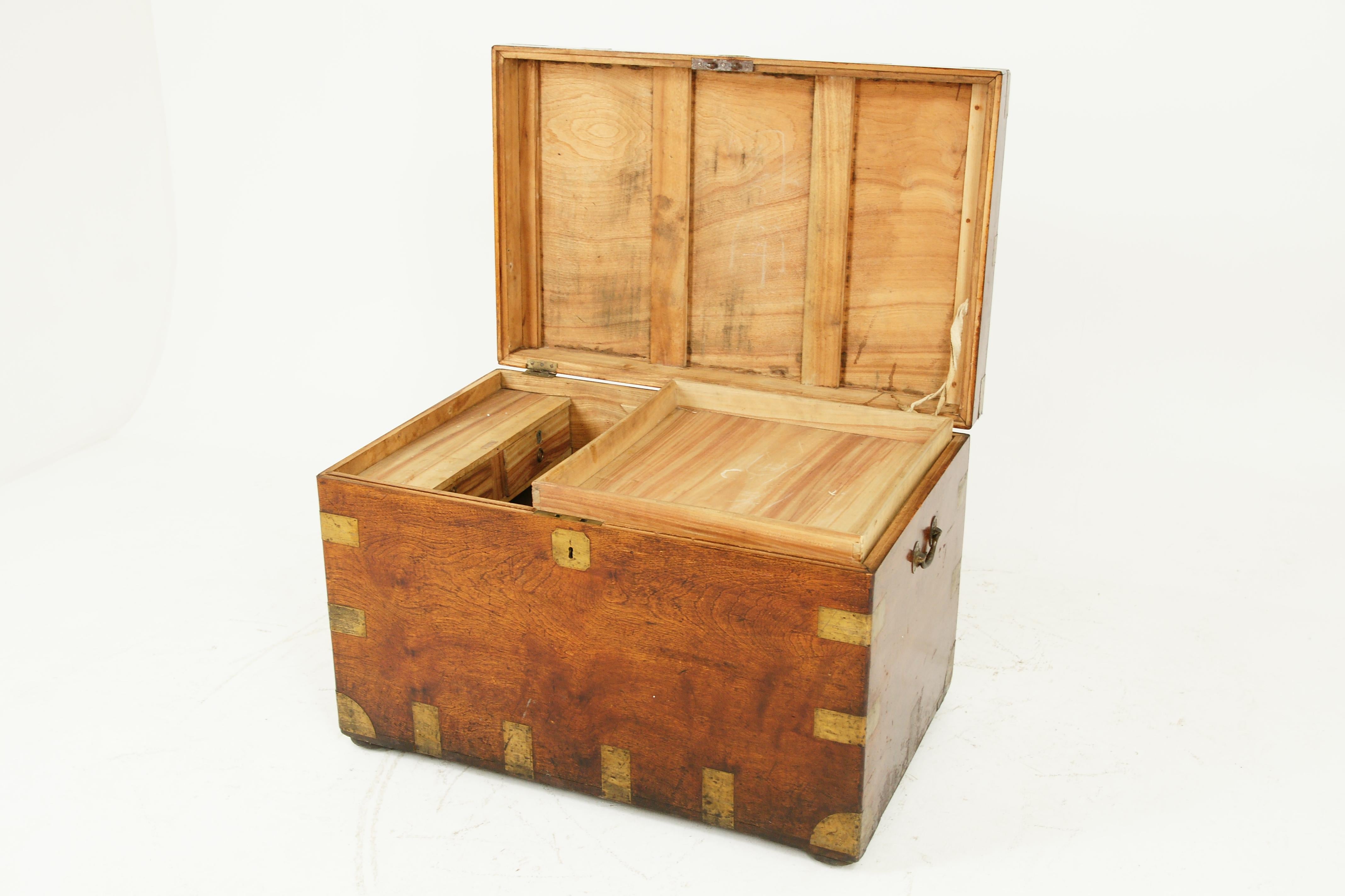 Antique Victorian Military Camphor Wood Travelling Trunk, Chest, 1880, B1950 1