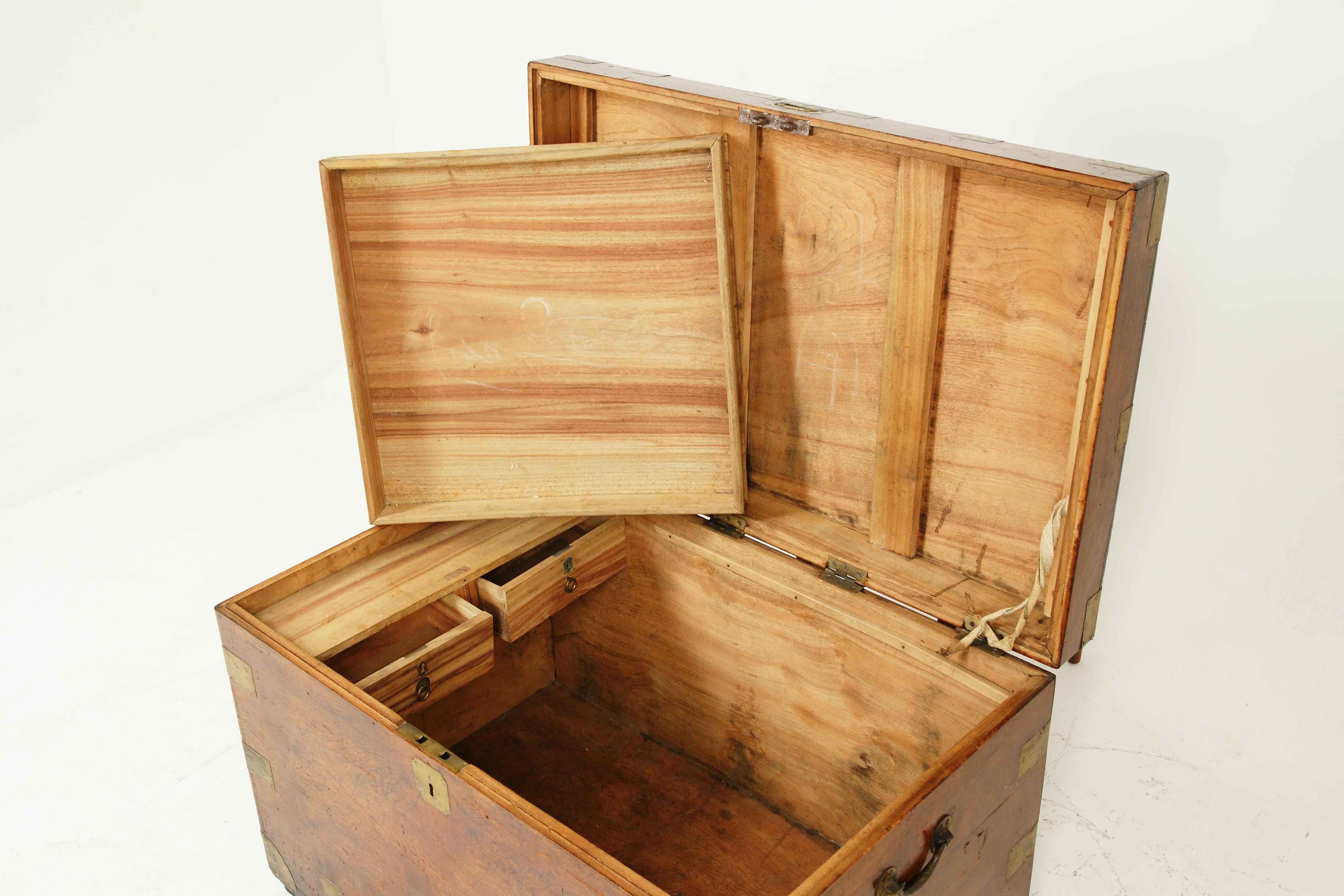 Antique Victorian Military Camphor Wood Travelling Trunk, Chest, 1880, B1950 2
