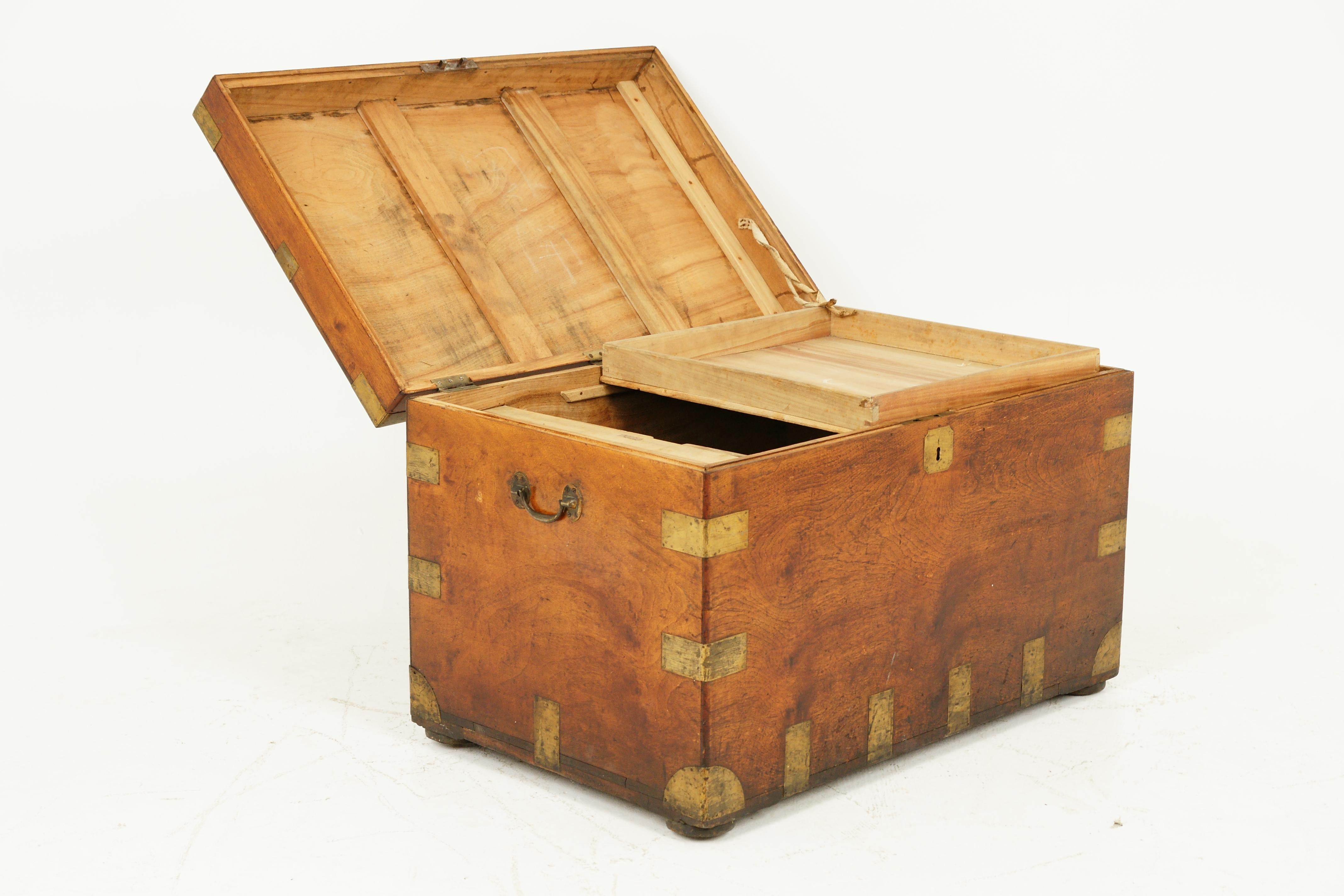 Antique Victorian Military Camphor Wood Travelling Trunk, Chest, 1880, B1950 3