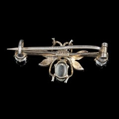 Antique Victorian Moonstone Insect Brooch Silver, circa 1900
