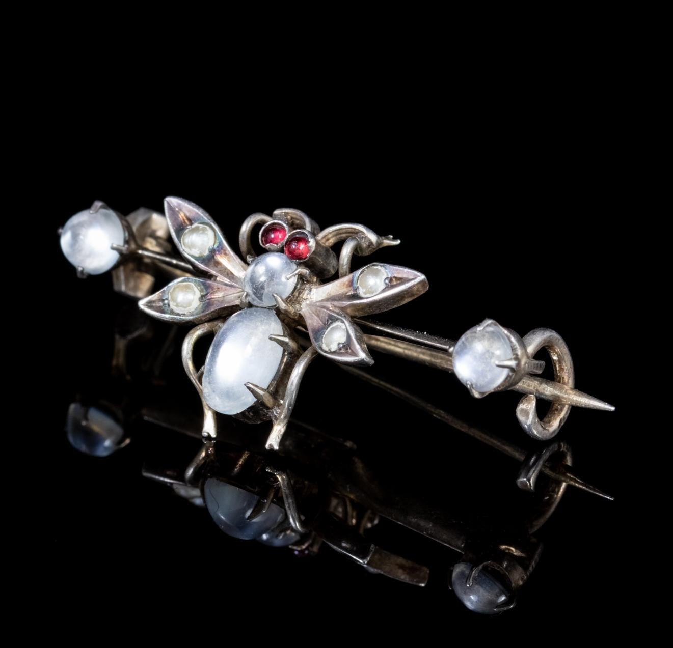 Antique Victorian Moonstone Insect Brooch Silver, circa 1900 In Good Condition In Lancaster, Lancashire