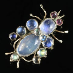 Antique Victorian Moonstone Ruby Bug Brooch 9 Carat Gold