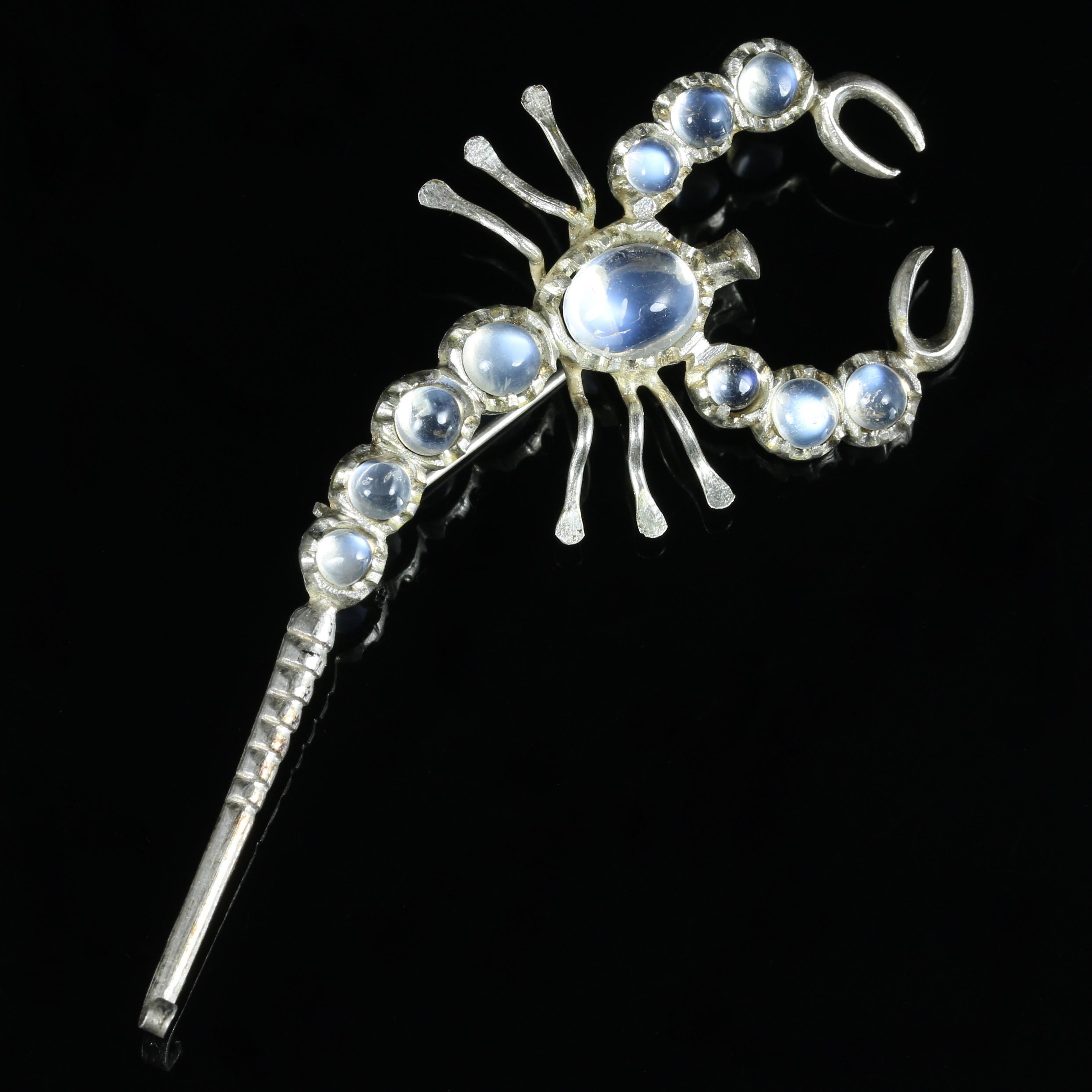 For more details please click continue reading down below...

This gorgeous antique Victorian Moonstone Scorpion brooch is set in Silver, all genuine Victorian, Circa 1880. 

The lovely Scorpion is adorned with 11 blue Moonstones set into its