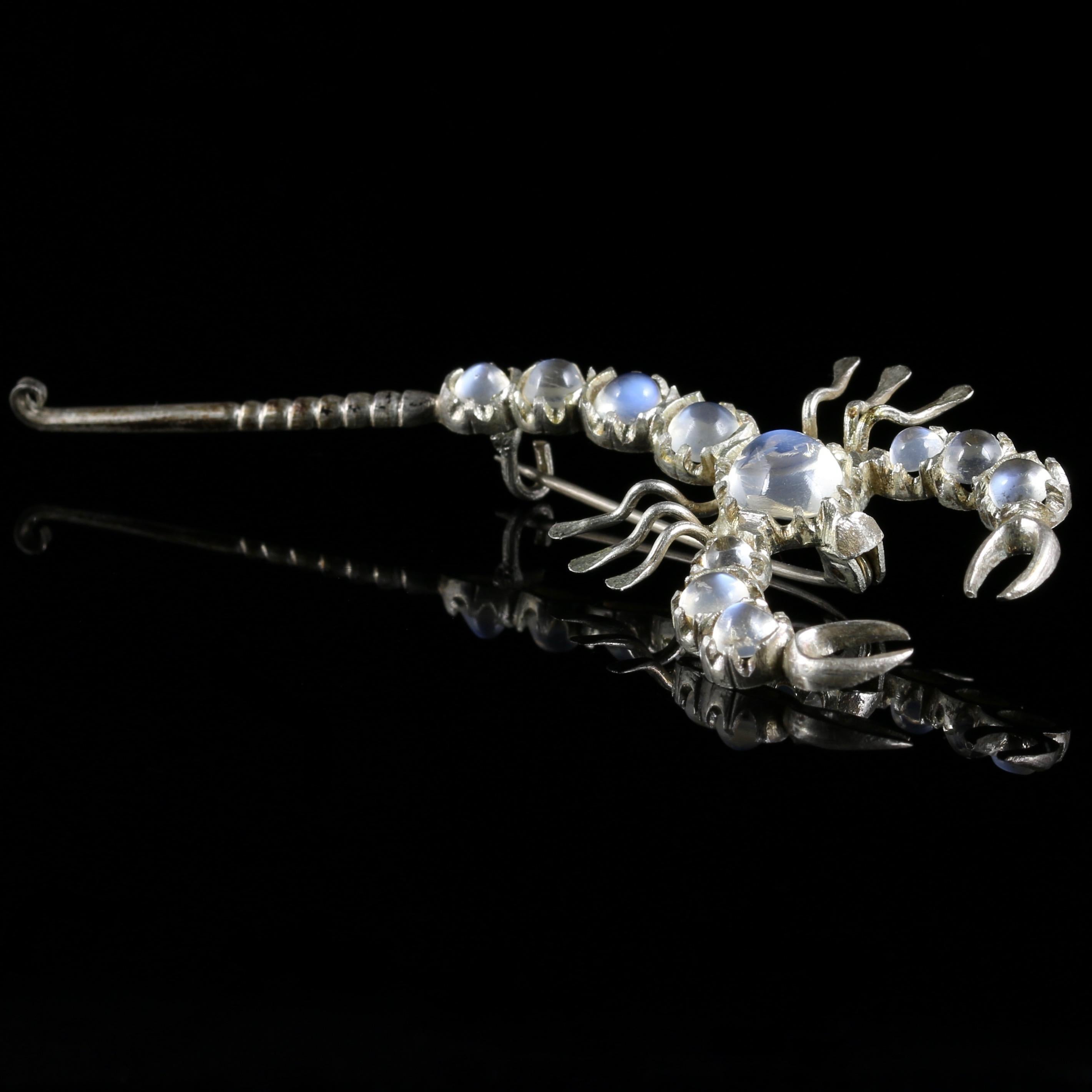 Antique Victorian Moonstone Scorpion Brooch Silver, circa 1880 In Excellent Condition In Lancaster, Lancashire