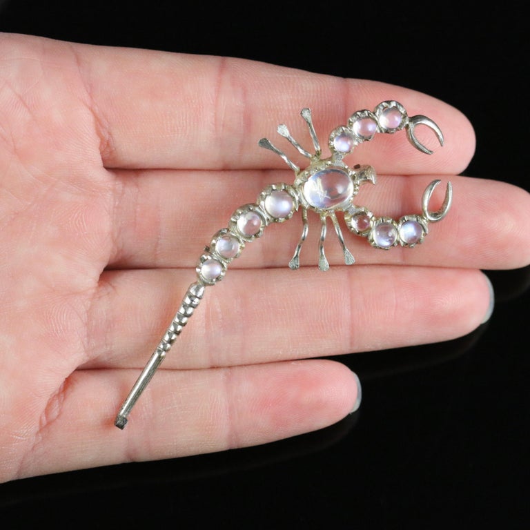 Antique Victorian Moonstone Scorpion Brooch Silver, circa 1880 at 1stDibs