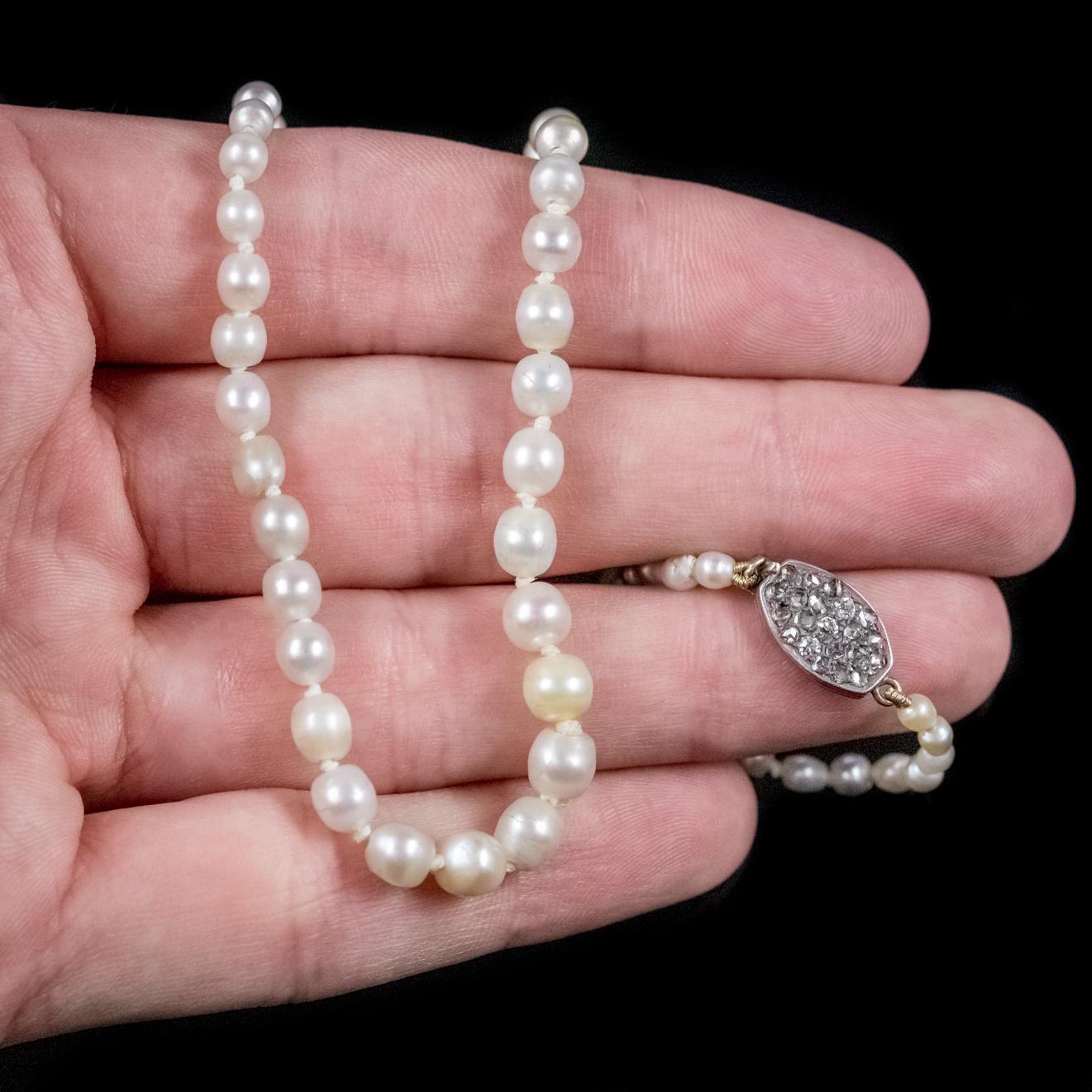 Antike viktorianische Perlenkette mit Diamantverschluss aus Naturperlen, vollständig zertifiziert, um 1900 1