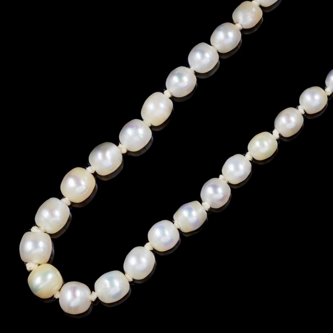 Antike viktorianische Perlenkette mit Diamantverschluss aus Naturperlen, vollständig zertifiziert, um 1900 Damen