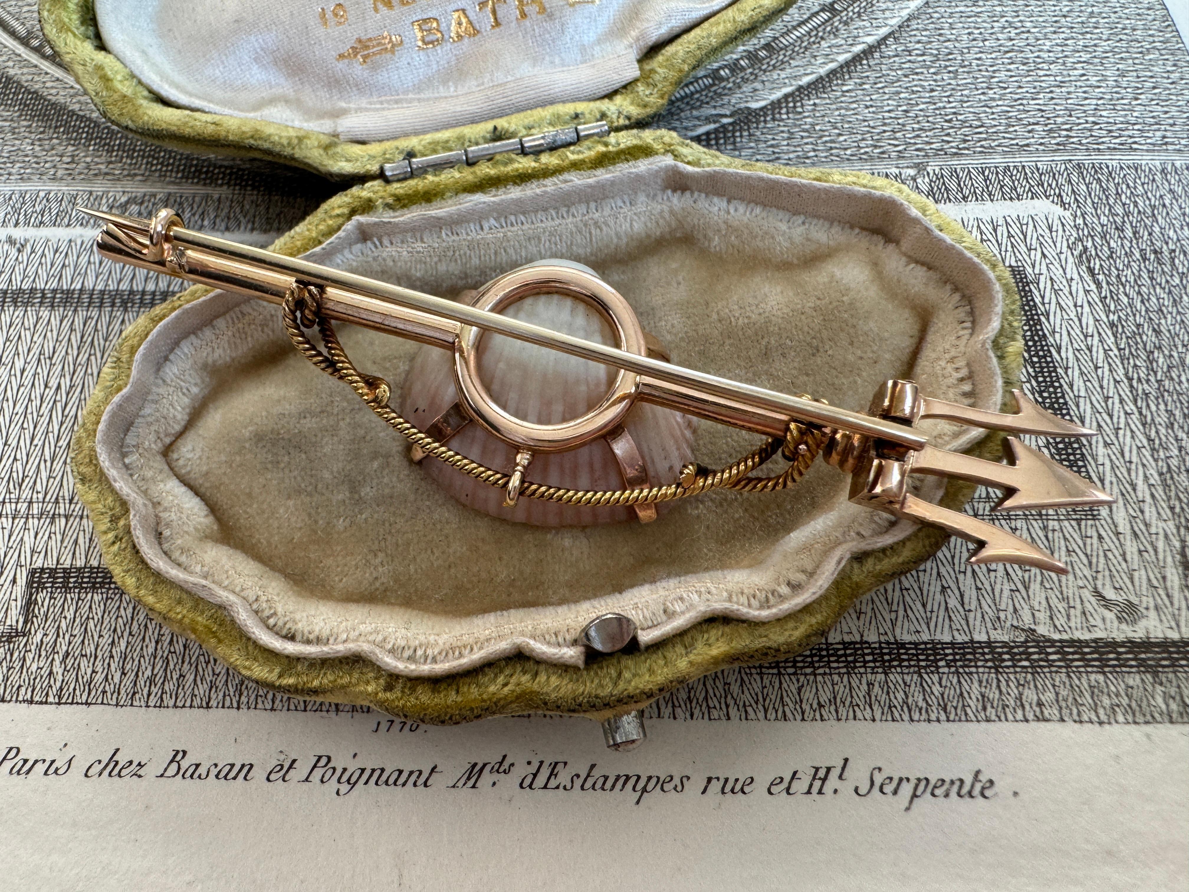 Cabochon Antica spilla vittoriana a tridente con conchiglia di Neotrigonia - 1880 ca. in vendita