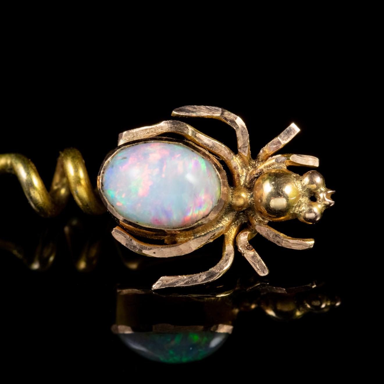 Antique Victorian Opal 15 Carat Gold Boxed circa 1900 Spider Pin In Good Condition For Sale In Lancaster, Lancashire