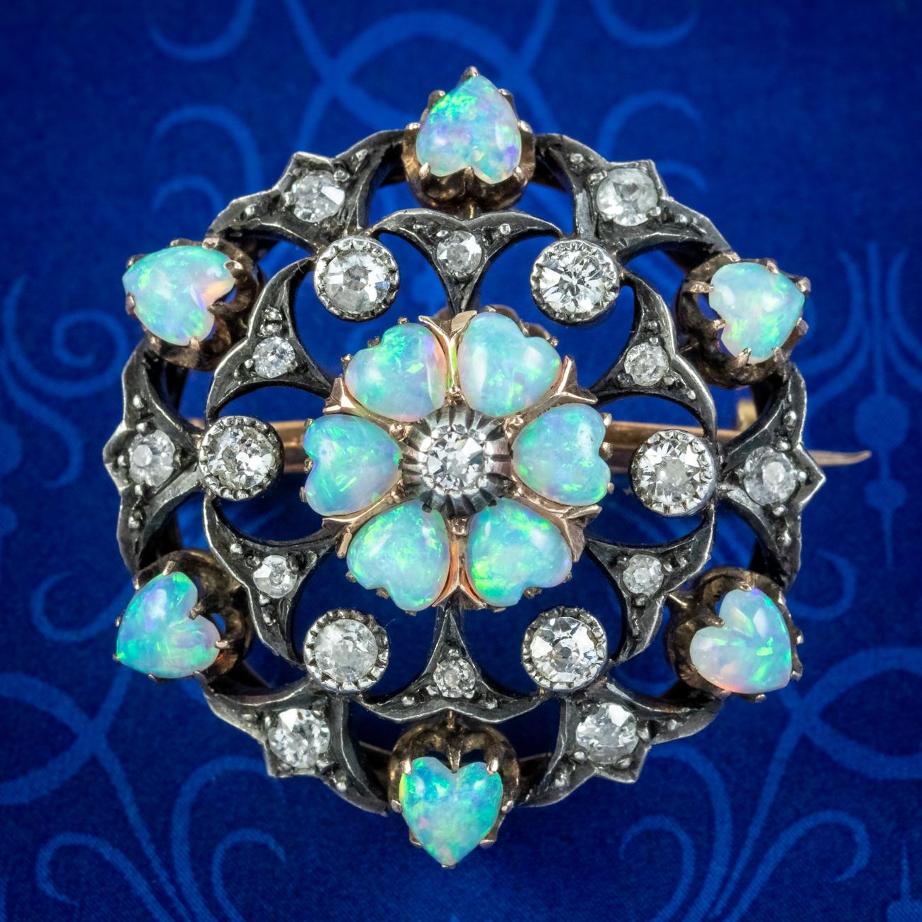 A glorious antique Victorian brooch depicting a flower decorated with nineteen glistening old mine cut diamonds and twelve heart cut opal petals in a fabulous, tiered arrangement.  

The opal hearts display a beautiful rainbow of vibrant colours and